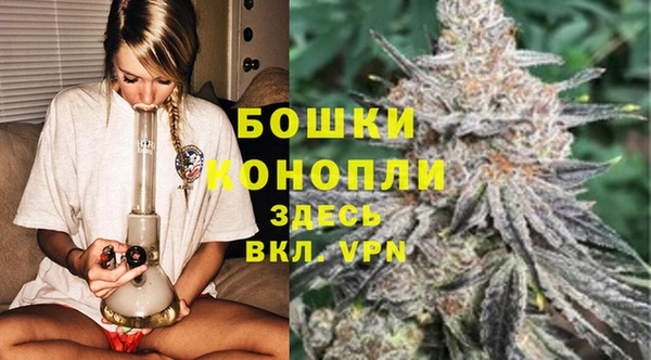 метадон Инта