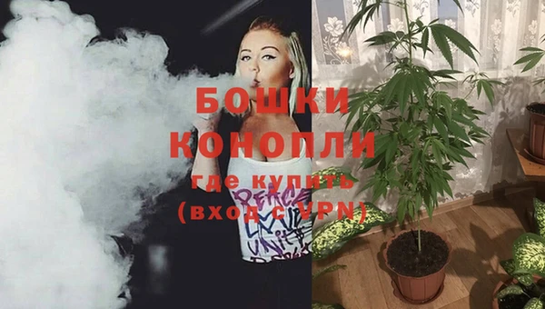 метадон Инта