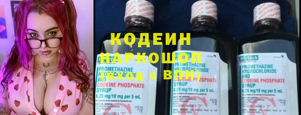 метадон Инта