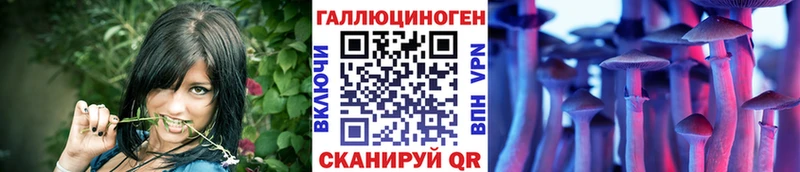 Галлюциногенные грибы Cubensis  Касли 